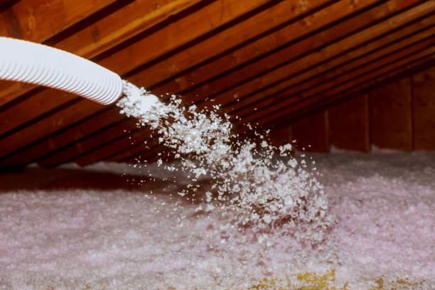 Best Insulation Maintenance and Repair in Redwood, TX