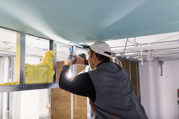 Best Cellulose Insulation in Redwood, TX